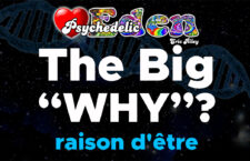 THE BIG “WHY?”