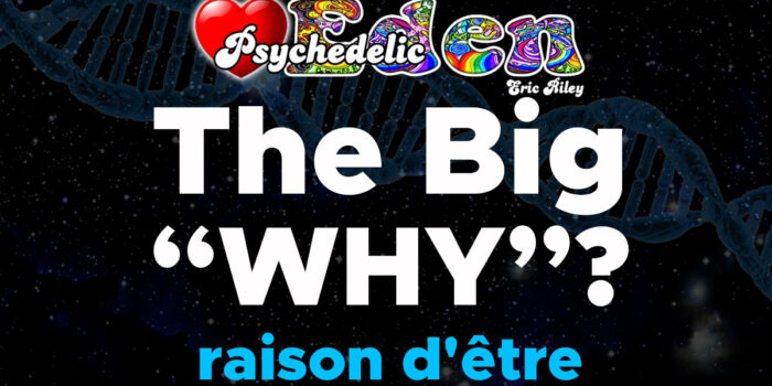 THE BIG “WHY?”