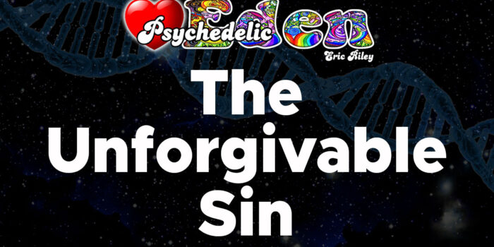 THE UNFORGIVABLE SIN